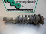 Federbein links hinten Mini Mini R50, R53 22190555