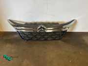 Kühlergrill Citroen Jumper III Kasten 1613256780