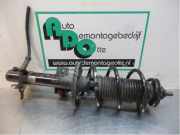 Federbein rechts vorne Skoda Citigo AA 1S0413031C
