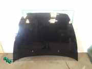 Motorhaube Volvo V50 545