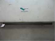 Netztrennwand Peugeot 206 CC