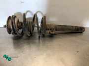 Federbein rechts vorne BMW 3er Touring E46 6750790