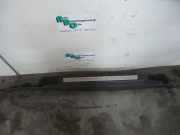 Schwellerleisten Mini Mini R50, R53