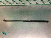 Heckklappendämpfer links Peugeot 107 689500H020