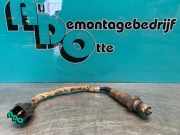 Lambdasonde Peugeot 107 0258006720