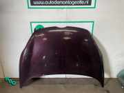 Motorhaube Ford Fiesta VI CB1, CCN