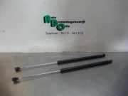 Heckklappendämpfer Peugeot 807 1492653080