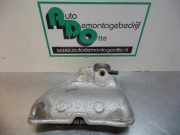 Auspuffkrümmer Renault Clio III BR0/1, CR0/1 296841