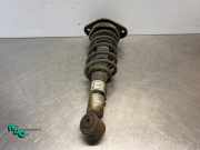 Federbein rechts hinten Mini Mini R50, R53 33526757228