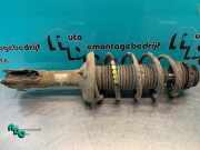 Federbein rechts vorne Seat Arosa 6H 6N0413031K