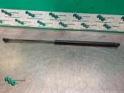 Gasdruckfeder Citroen C1 689500H020