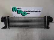 Ladeluftkühler Mercedes-Benz Vaneo 414 A1685000000