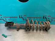 Federbein links hinten Toyota Corolla Compact E11 J5522009G