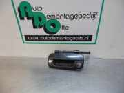 Türgriff links vorne Peugeot 406 Coupe 8C 9621858877