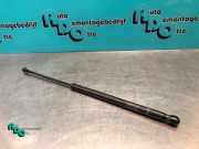 Heckklappendämpfer rechts Toyota Aygo B1 689500H010