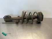 Federbein links vorne Renault Clio III BR0/1, CR0/1
