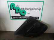 Türverkleidung links hinten Fiat Bravo II 198