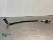 Lambdasonde Peugeot 207 CC V754896180