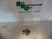 Klappenschlosszug Peugeot Expert I Kasten 222