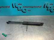 Heckklappendämpfer Renault Twingo II CN0 8200385560