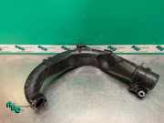 Ansaugschlauch für Luftfilter Renault Twingo II CN0 PIE8200645723