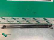 Heckklappendämpfer Smart Forfour 454