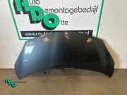 Motorhaube Toyota Aygo B1