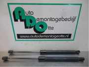 Heckklappendämpfer VW Golf V 1K 1K6827550F