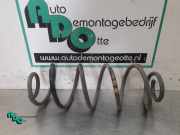 Feder hinten Peugeot 207