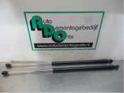 Heckklappendämpfer Peugeot 807 1492653080