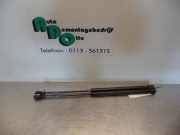 Gasfeder für Motorhaube Jaguar S-Type X200 XR8316C826AA