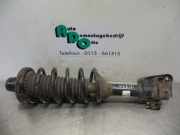 Federbein rechts hinten Land Rover Freelander 1 L314 22190457