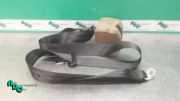 Sicherheitsgurt rechts hinten Audi A3 8P 33040488