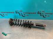 Federbein rechts hinten Toyota Starlet P9 23315B5A12