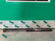 Heckklappendämpfer Fiat Bravo II 198 51812267