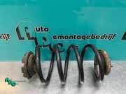 Feder hinten Renault Clio III BR0/1, CR0/1