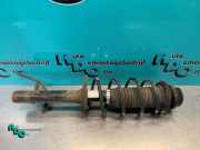 Federbein links vorne Citroen C1 485200H010