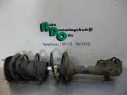 Federbein rechts vorne Toyota Yaris P1