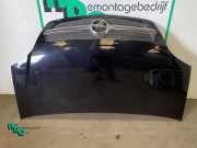 Motorhaube Opel Meriva A NIETAANWEZIG