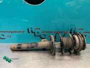 Federbein rechts vorne BMW 3er Compact E46 824903556622