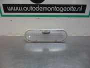Innenleuchte Renault Clio III BR0/1, CR0/1 8200074362C