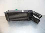 Ladeluftkühler Peugeot 207 9651184880