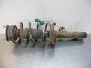 Federbein links vorne Ford Transit Connect P*2
