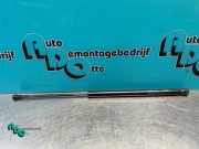 Heckklappendämpfer links Toyota Aygo B1 689500H010