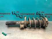 Federbein rechts vorne VW Golf VI 5K 1K0413031BH