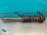 Federbein links hinten Ford Street Ka RL2 3S5118K076BB