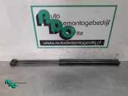 Gasfeder für Motorhaube Mini Mini R50, R53 41617066566