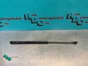 Heckklappendämpfer links Toyota Aygo B1 689500H010