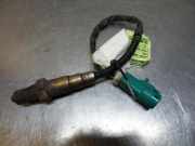 Lambdasonde Ford Focus Turnier DNW