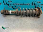 Federbein rechts vorne Suzuki Ignis FH 4160180G10